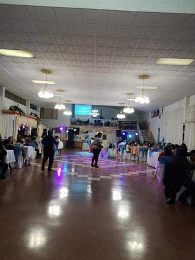 Salon de Eventos Los Cisnes photo 4